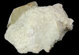 Gemmy, Twinned Calcite Crystals on Barite - Elmwood #66310-2